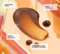 A smear and droplets of BondiSandsEU Caramel Technocolor Self Tanning Face Serum on a reflective surface, with callouts showing benefits: blemish control, vitamin C brightening, soothing chamomile, hydration protection, and a glow for deep skin tones.